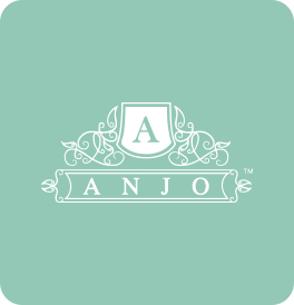 slide_16_Anjo